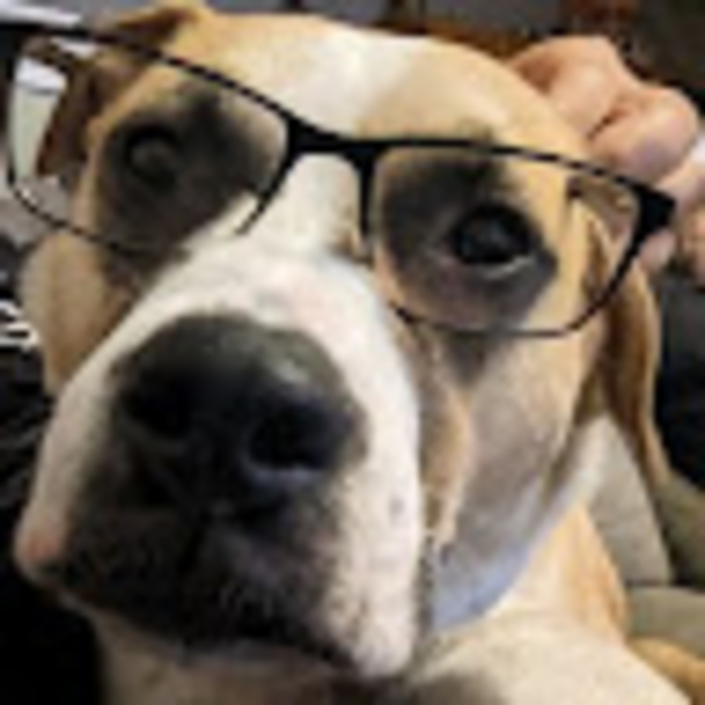 Meet your Posher, Rene